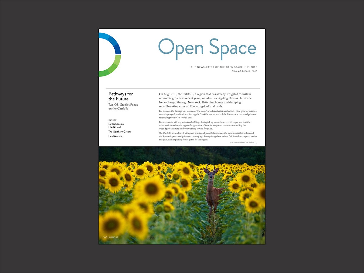 OSI open space institute report cover design