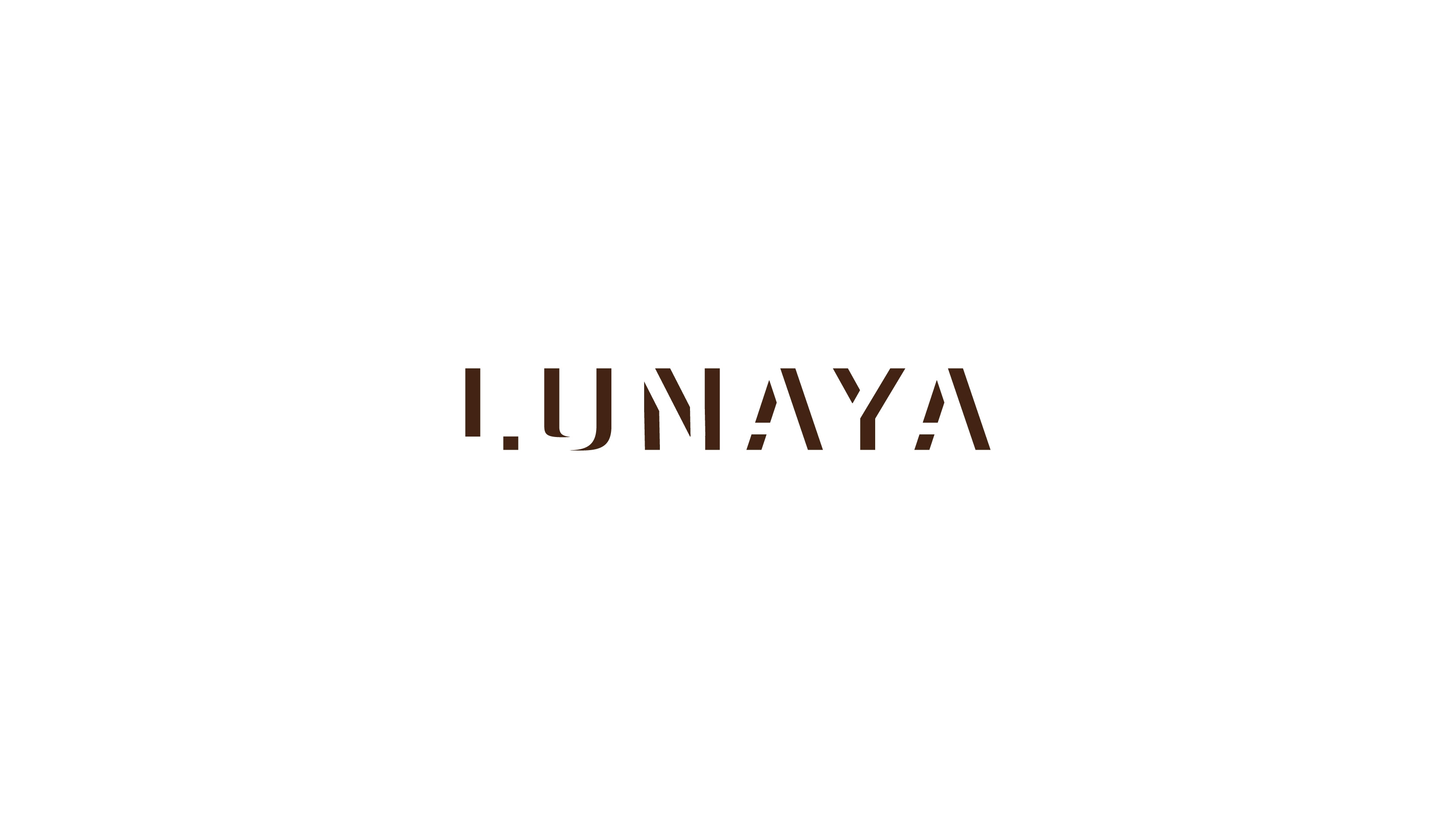 lunaya branding custom logotype oaxaca mexico